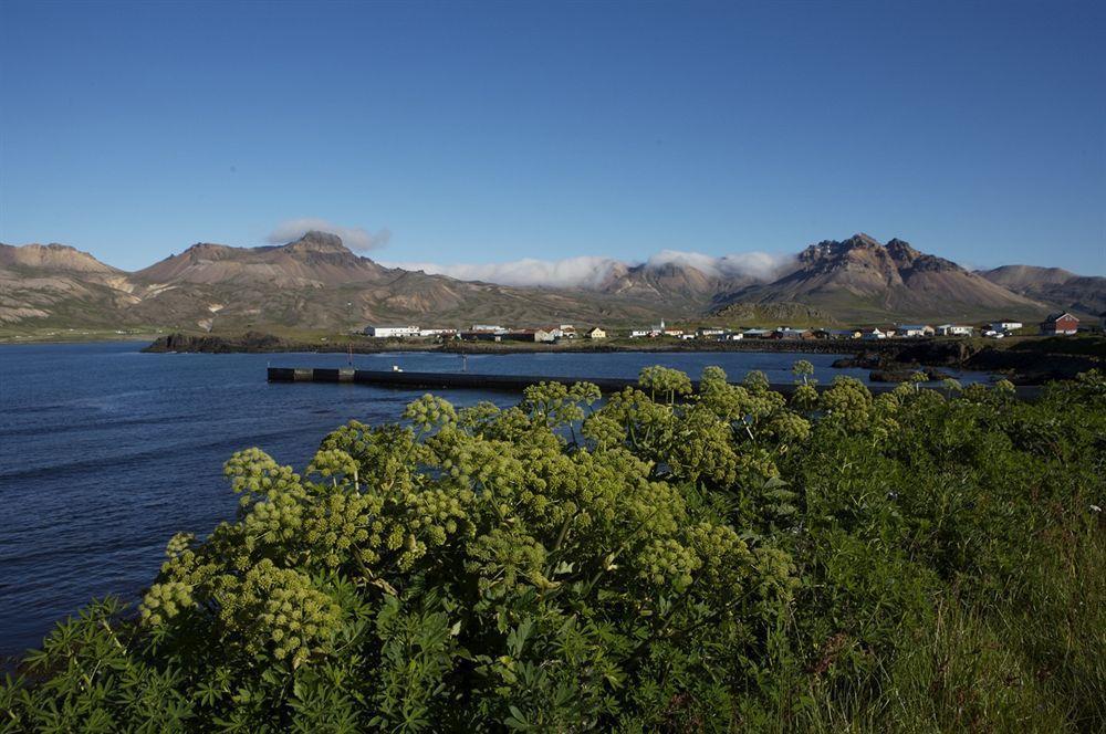 Alfheimar Hotel Borgarfjordur Eystri Dış mekan fotoğraf