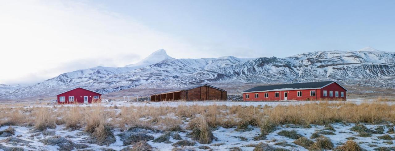 Alfheimar Hotel Borgarfjordur Eystri Dış mekan fotoğraf